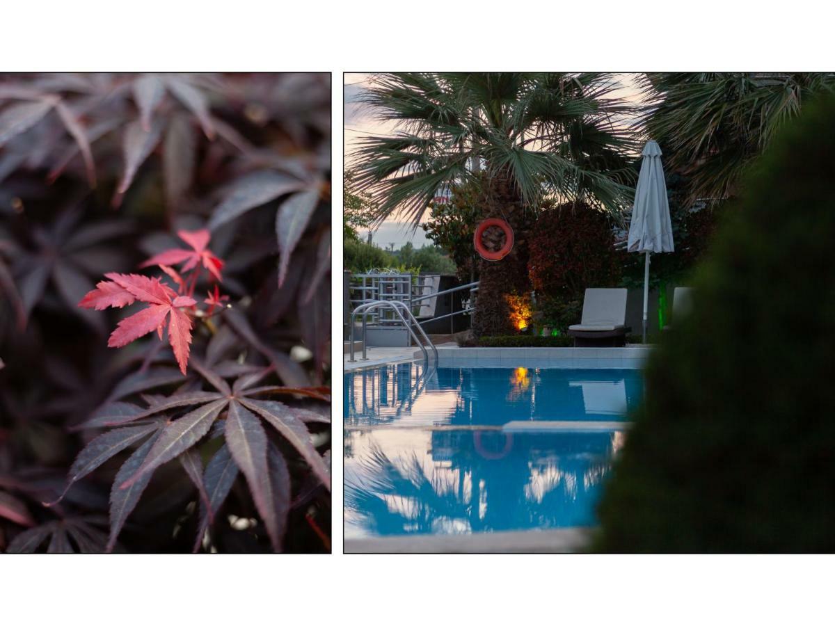 Anthodi Hotel Σταυρός Εξωτερικό φωτογραφία